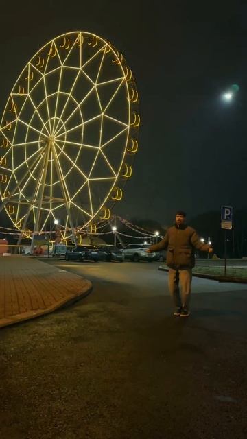 Дисциплина