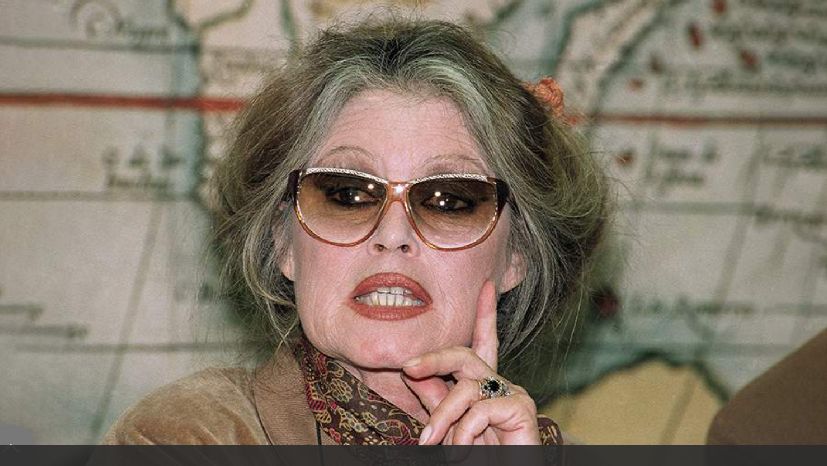 Актрису Брижит Бардо снова госпитализировали во французском Тулоне