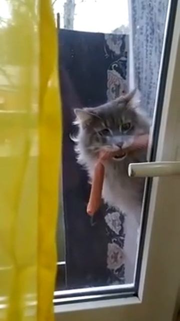 Кормилица😜