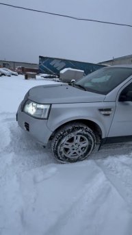 фрилендер 2012