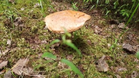 Осенний поход за металлом.