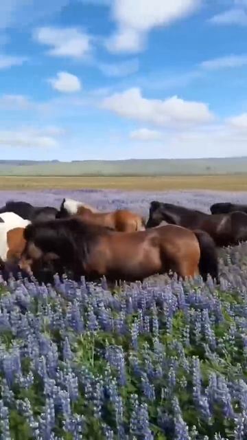 VID_20251123_232317_399.mp4