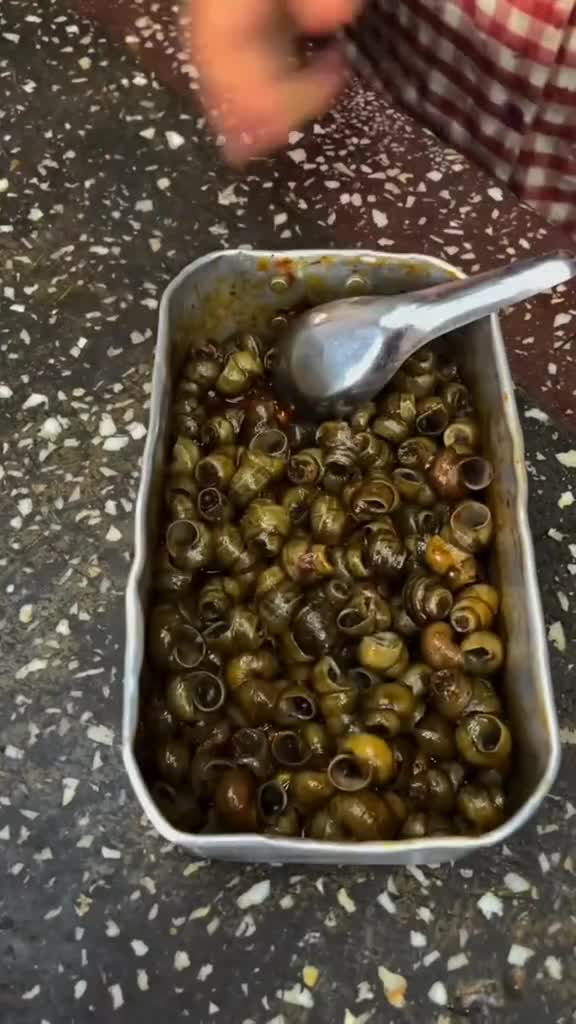 2025-11-24T09:10:12.436Z