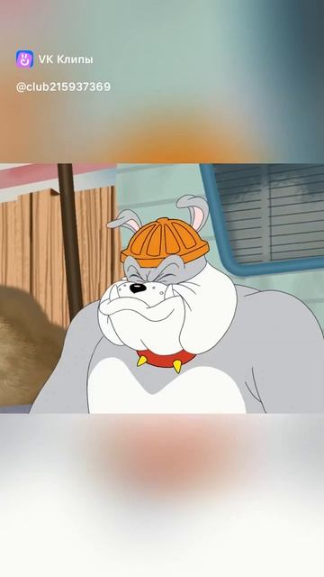 том и джерри новые