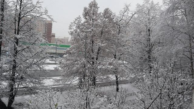 Вид из окна. Понедельник, 24 ноября 2025