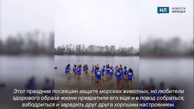 Липецкие моржи зажгли в ледяной воде и запустили флешмоб