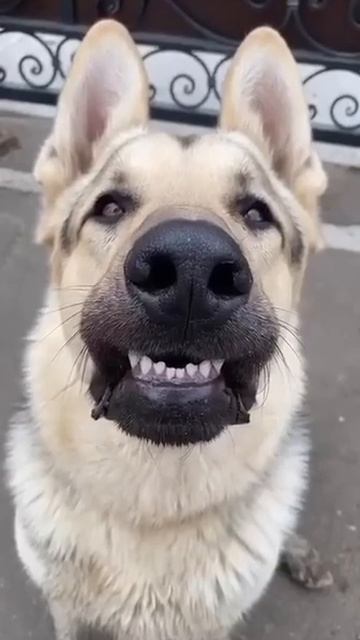 VID_20251123_231925_673.mp4