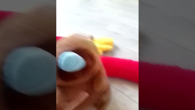 VID_20251125_132926.mp4