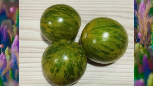 Каталог томатов на 2026 год. Часть 16. г. Киров. т. 89229284031