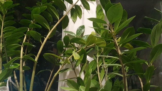 Откровенно о...