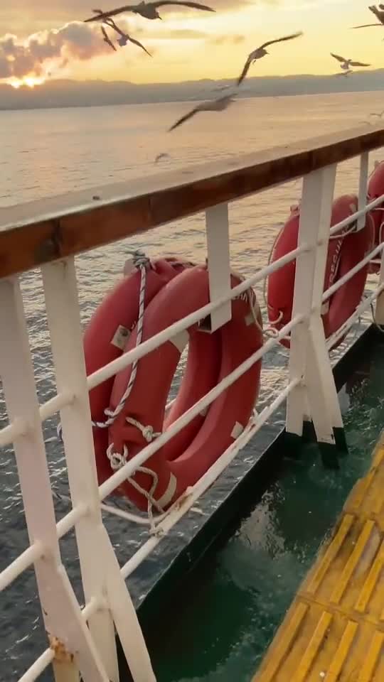 Подпишись 👉  👉 https://kamennyi-zver.ru