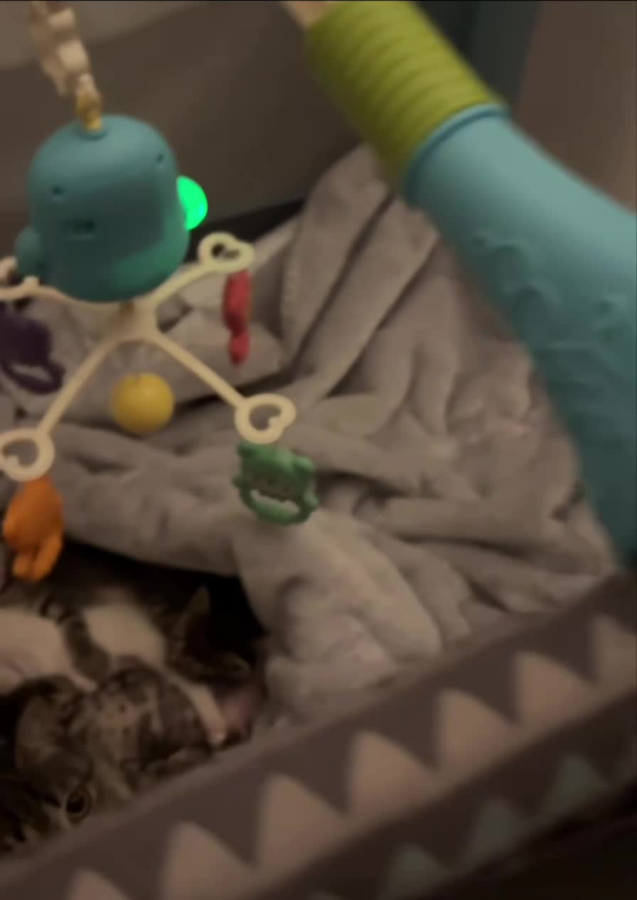 Ложимся споть :3