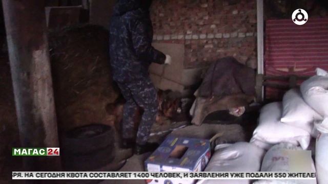 В Ингушетии задержан пособник незаконного вооружённого формирования