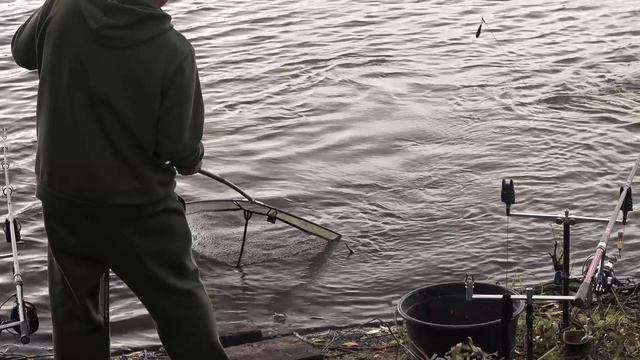 Амур выбирал силикон