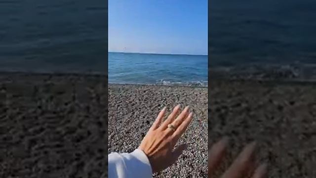 Немного моря в прямом эфире