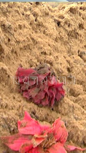 B 19.00 в программе «Кстати»: Похоронные венки и цветы с кладбища использовали при дорожных работах