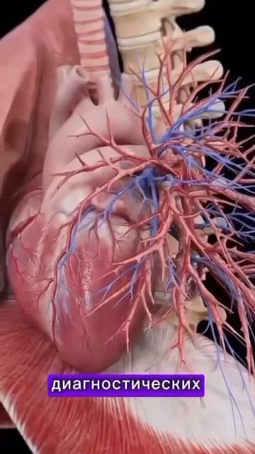 Здоровьесбережение