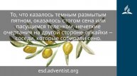 25 ноября 2025. Да будет воля Твоя. Под сенью благодати. Адвентисты