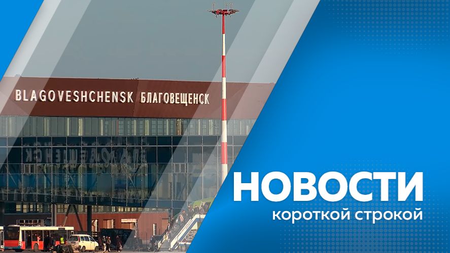 Новости короткой строкой 25.11.2025г