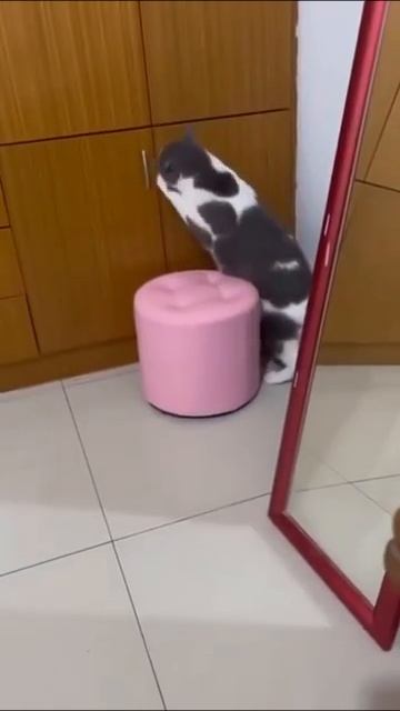 Внуки приехали🤣