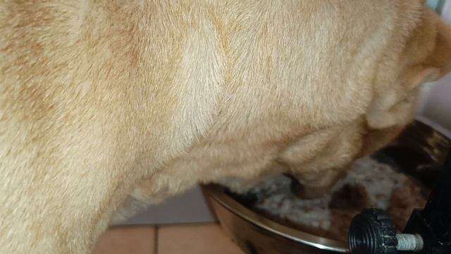 До последней крошки!Очень вкусная кашка😋