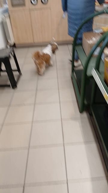 1000005318.mp425.11.2025г.