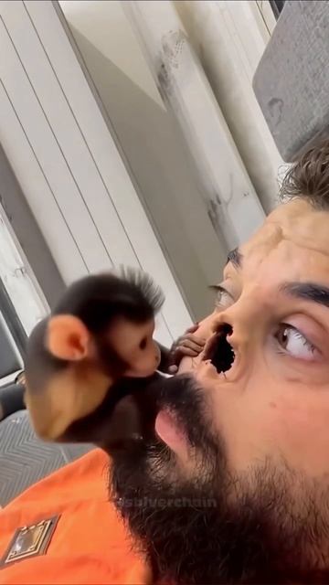 ПОДПИШИСЬ 👍🏻