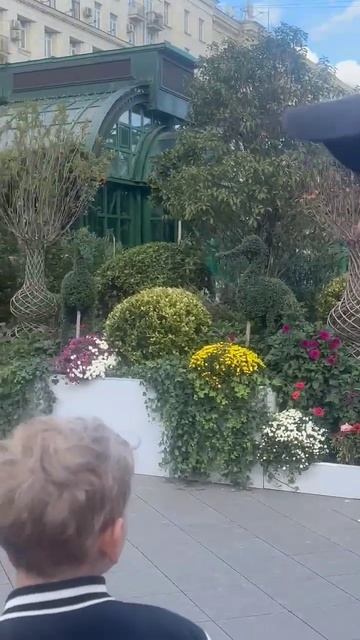 РООИ "Радость" (проект "Особая сборка")