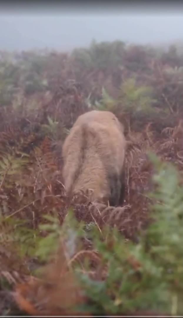 Стильно получилось!😁