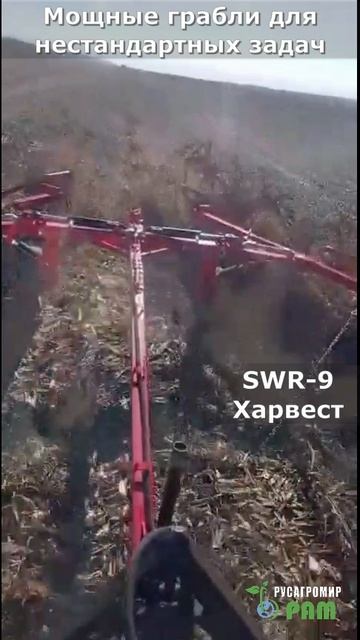 SWR 9 на сгребании кукурузы. grabli.pro