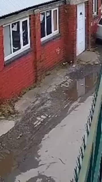 СМЕШНЫЕ 👆😂 ВИДЕО ПРИКОЛЫ #смешные #видео #приколы