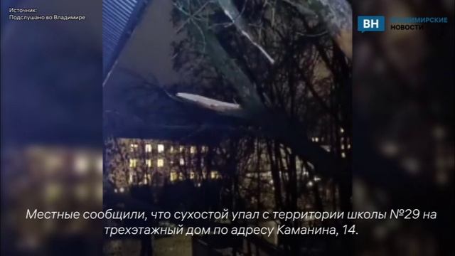 Во Владимире на жилой дом рухнуло дерево