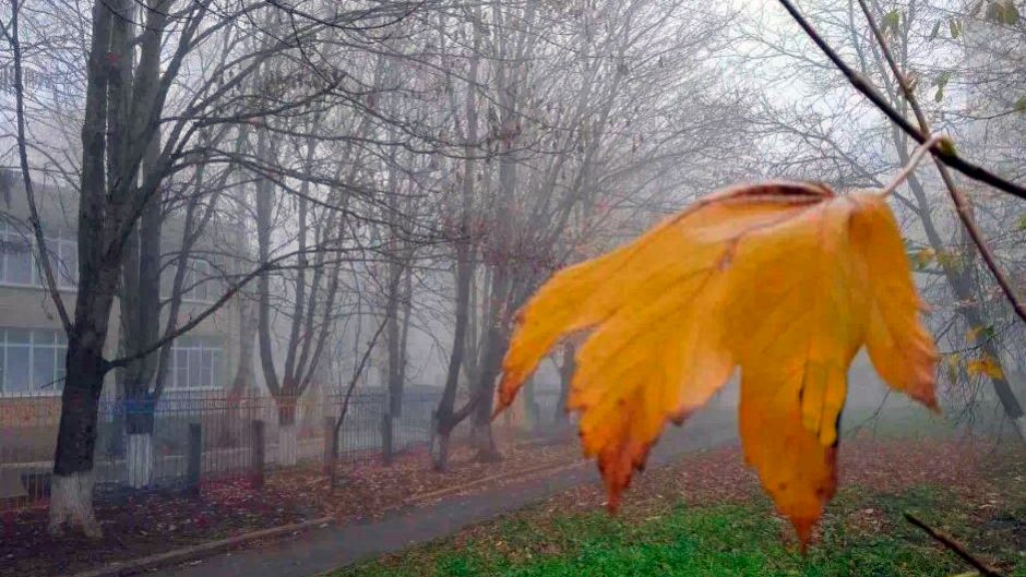 Зима уже на пороге: какой будет погода в ближайшие дни на Ставрополье