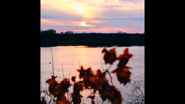 Нежный закат 25 ноября