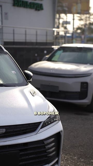 Привезли Lixiang L6