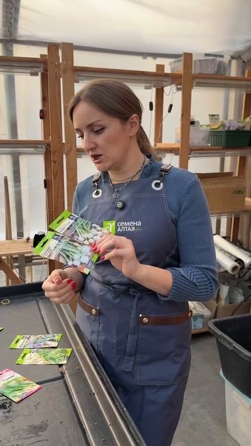 ЗЕЛЕНЫЙ ЛУК СЕМЕНА