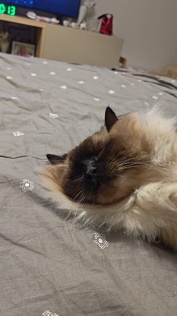 влюбляются не в лица