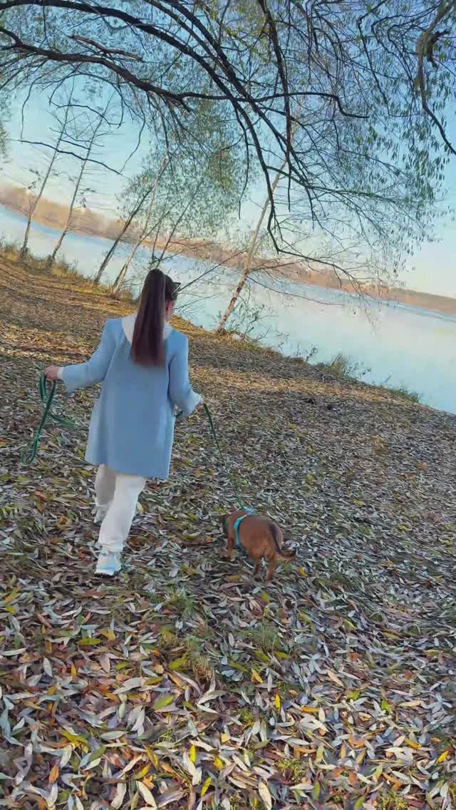 Последние тёплые деньки…