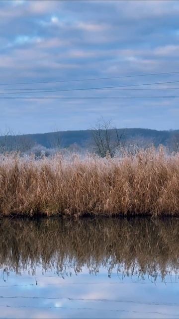 Сегодня хорошая погода
