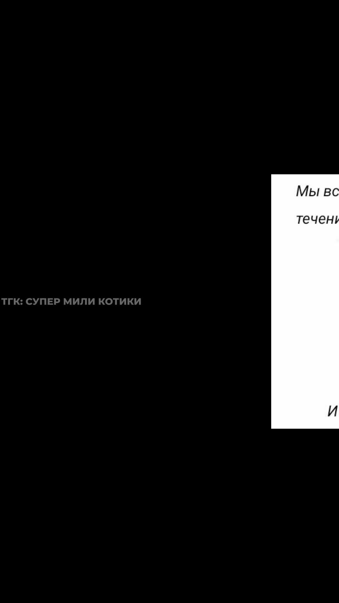 supermilikotiki_131.mp4