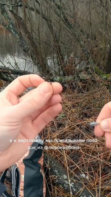 секретная снасть для пассивной рыбы. Каролинская оснастка!