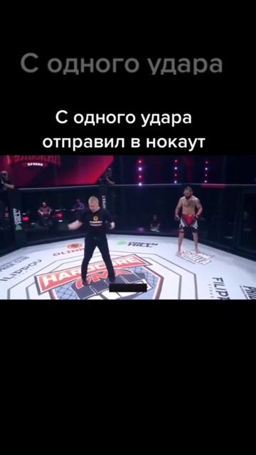 С одного удара отправил в накаут