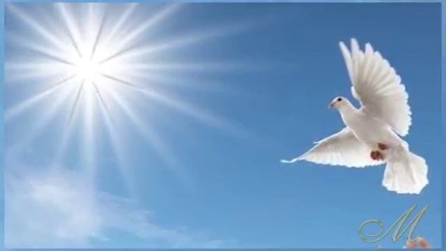 Пожелания счастья, здоровья, успехов для друзей и близких