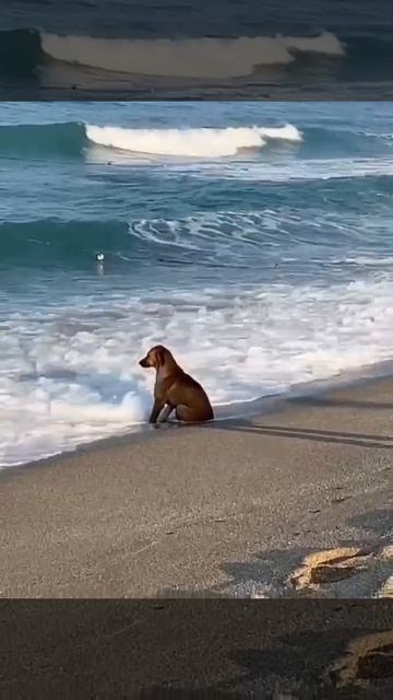 Осенняя хандра