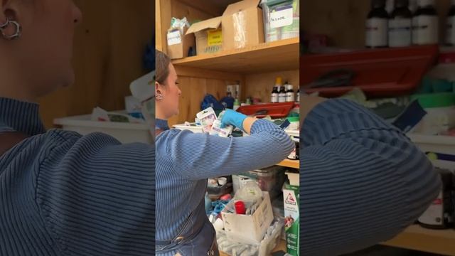 ПОЛЕЗНЫЕ ПОКУПКИ ДЛЯ САДА