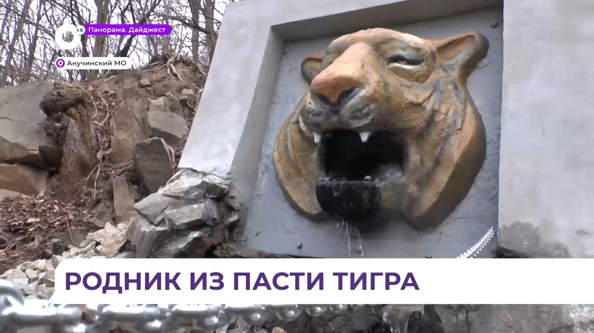 В Анучинском округе скульптура в виде головы тигра каждый день притягивает туристов