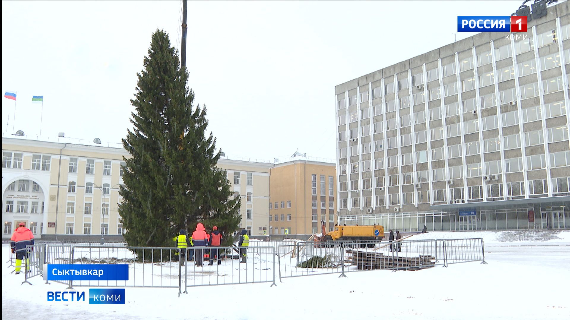 В Сыктывкар привезли главную новогоднюю елку республики