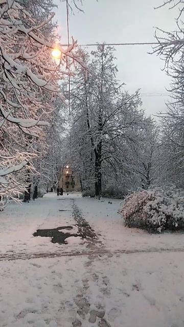 Зимний Питер