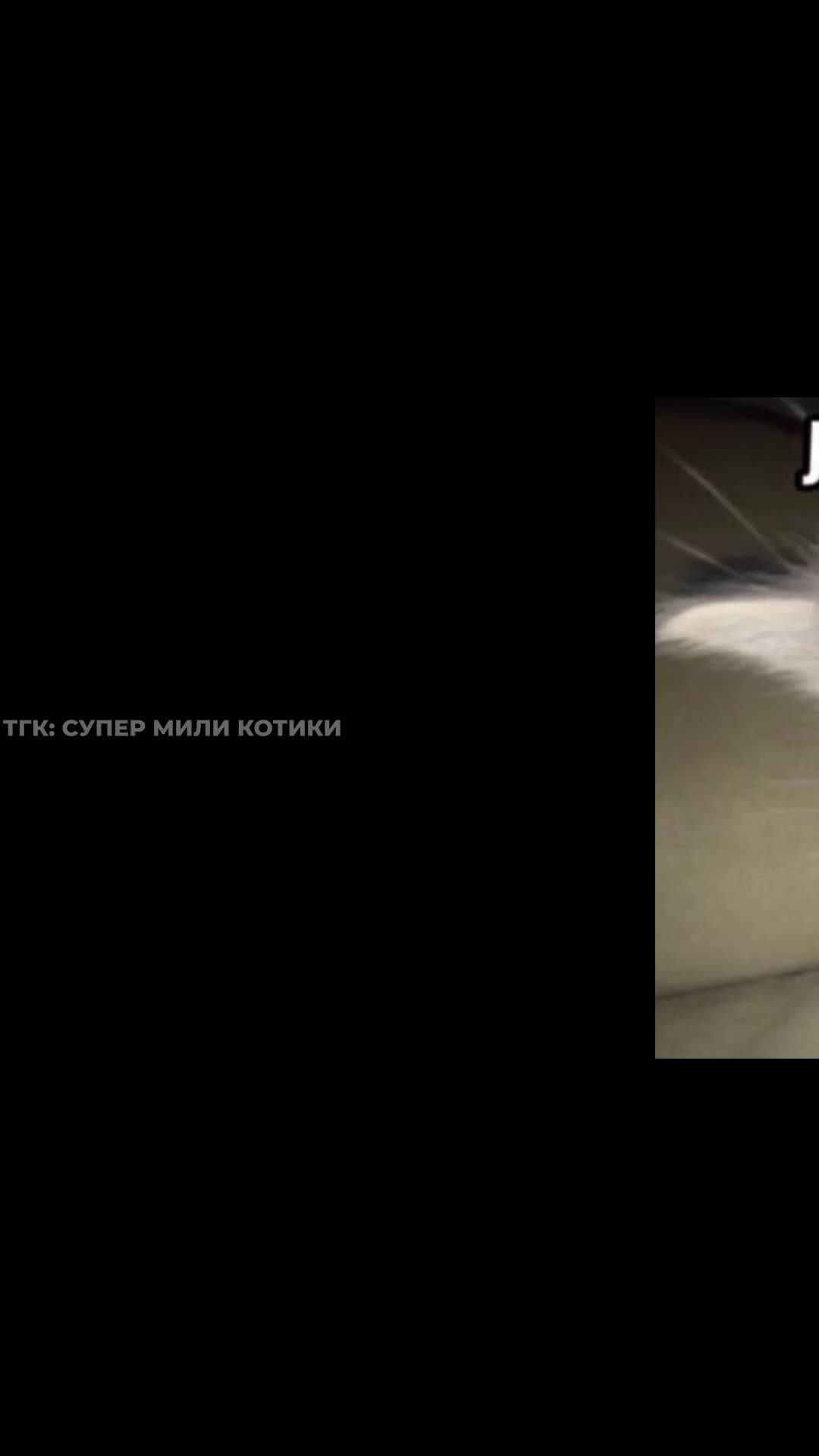 supermilikotiki_133.mp4