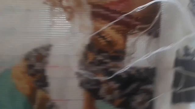 Архив2023.Продвигаю процесс "Волшебная Флейта"